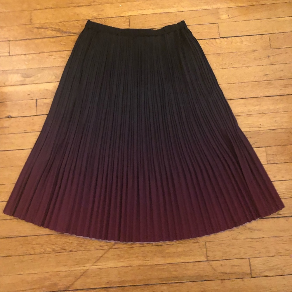 Black and purple ombre skirt